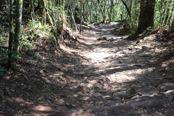 Parque Estadual do Caracol (Caracol Park), is a Brazilian conservation unit and its splendid landscape makes it one of the most visited tourist spots in southern Brazil.