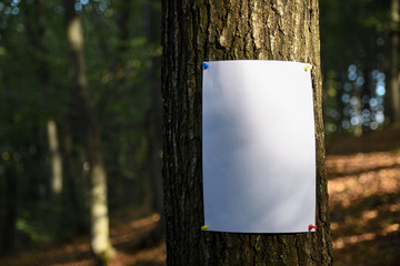Announcement,ads on the tree. Copy space for text. © Ivan