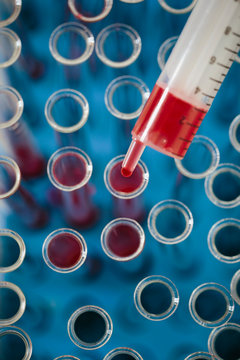 Biologist working with blood samples in the lab