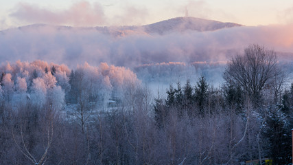 Frosty, foggy sunrise in the "Bieszczady" mountains in Poland. © SebbPL