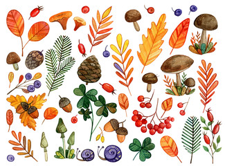 Large Watercolor set of autumn forest elements - leaves, mushrooms, purple snails, viburnum and rosehip berries and others. Autumn set of watercolor illustrations for stickers,  or your own design.