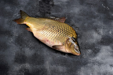 Fresh carp on a dark surface. Close-up. View from above. 