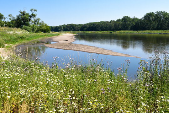 Flusslandschaft an dermittleren Elbe mit sch&ouml;nen Sandstr&auml;nden und Badem&ouml;glichkeiten