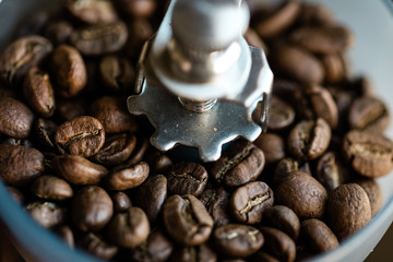 Roasted Coffee Beans in a Coffee Grinder