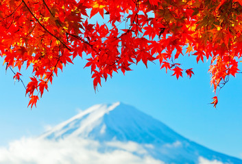 View of the maple leaves in autumn at Lake Kawaguchi in Japan with the Mount Fuji in the background.