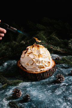 Baked Alaska