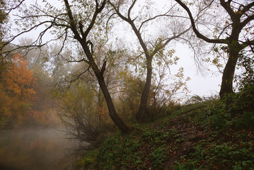 Fototapeta na wymiar An unforgettable time of year that many creative people loved - artists and poets. Autumn. Fog.