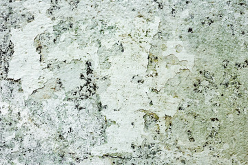 Fototapeta premium Texture of a concrete wall with cracks and scratches which can be used as a background