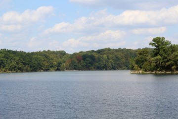 The lake in the park on a sunny summer day.