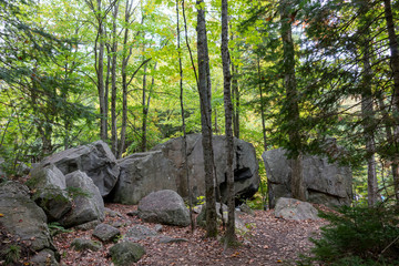 Big stones in the forest. Arrowhead Park in East Canada