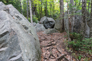 Big stones in the forest. Arrowhead Park in East Canada