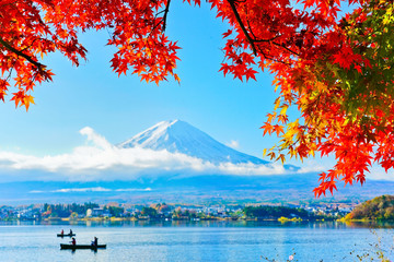 View of the maple leaves in autumn at Lake Kawaguchi in Japan with the Mount Fuji in the background.