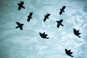 paper bird sharp wall background 