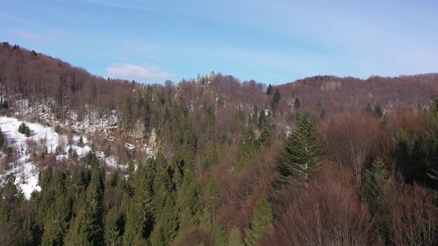Winter forest at Carpathian Mountains.