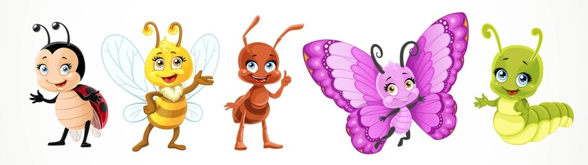 Cute cartoon ladybug bee, butterfly, caterpillar, ant isolated on a white background