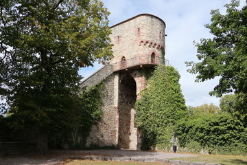 Reste der Burgruine Hohennagold im Schwarzwald