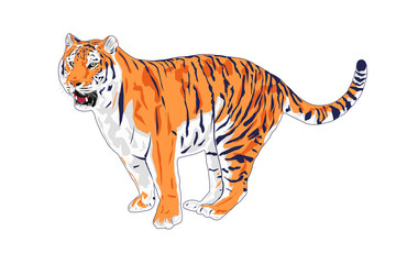 Amur tiger illustration, tiger on isolated white background vector