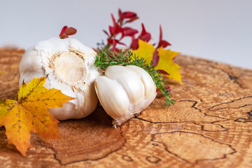  Garlic on a wooden background. Food and seasoning for cooking. Fall foliage