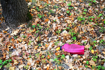 A plastic bottle lies on the ground in a deciduous forest, trash on the ground in the forest.