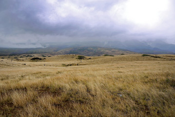 Fototapeta premium View on rural landscape of Hawaii stock images. Field with grass and clouds. Cloudy day in the Hawaii. Mailboxes in rural landscape. Beautiful nature in Hawaii. Green Hawaii countryside