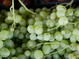 bunch of green grapes