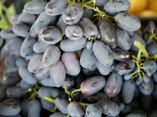 ripe grapes are black. sunny summer day. fresh fruit. natural vitamin. this ecological and vegetarian food.