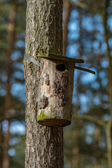 birdhouse on tree