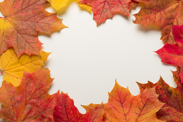 Beautiful autumn leaves on a white background