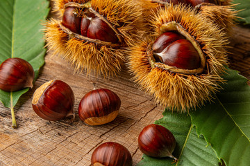 Sweet Chestnuts - Castanea sativa on an old wooden table