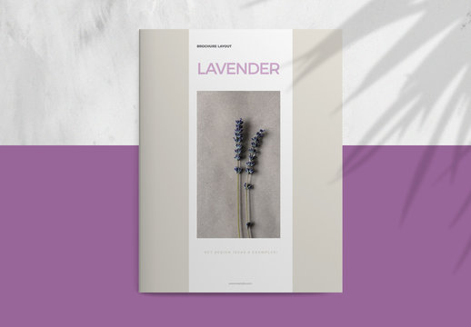 Business Brochure Layout with Purple Accents