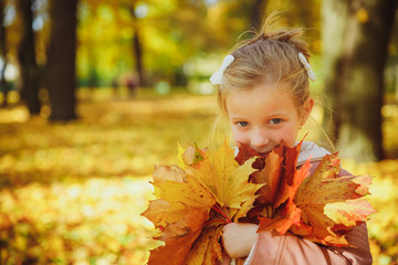 Autumn portrait of cute curly girl.Little funny girl playing with yellow leaves in the forest. Child on a walk in the autumn park. Golden autumn. toddler girl , portrait with bouquet of autumn leaves