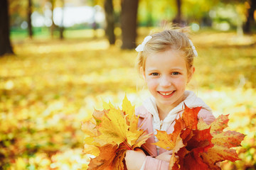 Autumn portrait of cute curly girl.Little funny girl playing with yellow leaves in the forest. Child on a walk in the autumn park. Golden autumn. toddler girl , portrait with bouquet of autumn leaves