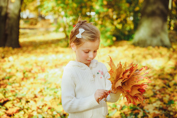 Autumn portrait of cute curly girl.Little funny girl playing with yellow leaves in the forest. Child on a walk in the autumn park. Golden autumn. toddler girl , portrait with bouquet of autumn leaves
