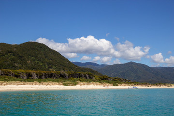 beach at Abel tasman national park, New Zealand