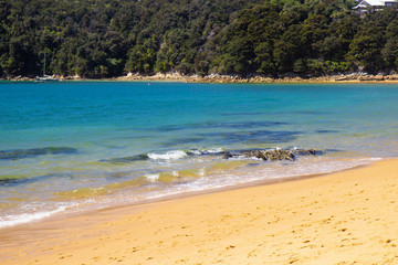 beach at Abel Tasman national park, New Zealand