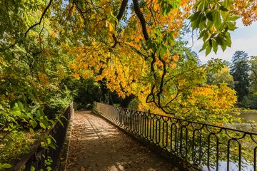 Naklejka premium A park with bridge over water with iron railing, sandy foot path and colorful yellow and green trees on a sunny autumn day. Dry leaves on ground.