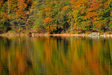 Stunning view of the forest with turning leaves reflected in the tranquil lake.