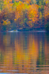 Fototapeta premium VERTICAL, DOF: Lake Bohinj is surrounded by spectacular forest changing color.