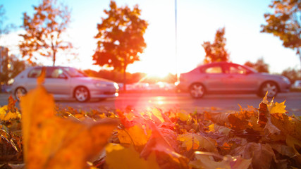 CLOSE UP: Two cars drive past a pile of autumn colored leaves and a car park.