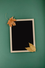 Autumn minimal flat lat, mockup, composition. Black blank frame chalk board and golden silver metallic dry maple leaves on green blue paper background