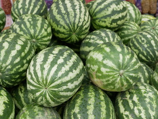 new crop of watermelons. big ripe striped watermelons at an agricultural fair on a Sunny summer day.