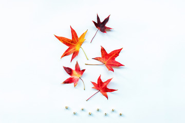 Red and yellow autumn leaves on white background. Word 