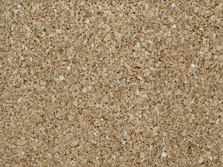 Full frame image of the cork wood surface, beige and light brown color with dark dots. High resolution seamless texture or background, copy-space