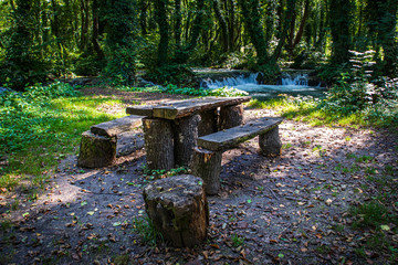 River and forest on Janjske otoke near the Sipovo, Bosnia and Herzegovina