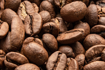 Coffee beans background / Coffee beans texture