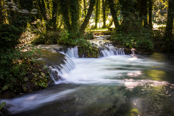 Fototapeta na wymiar River and forest on Janjske otoke near the Sipovo, Bosnia and Herzegovina
