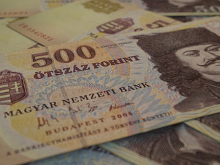 Fototapeta premium Hungarian forint. Money of Hungary, financial background. HUF. Macro shot