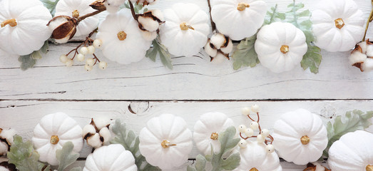 Autumn double border banner of white pumpkins and silver leaves over a rustic white wood...