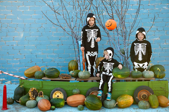 Children in carnival costumes of skeletons for Halloween are sitting in boat with pumpkins. Brothers gathered good crop of pumpkins in garden and put them on ship. holiday suite in village