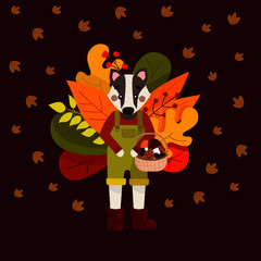 Vector illustration of a badger standing in red rubber boots in a green overalls. The badger has a basket from the forest with berries, cones, mushrooms. Autumn composition with yellow autumn leaves.